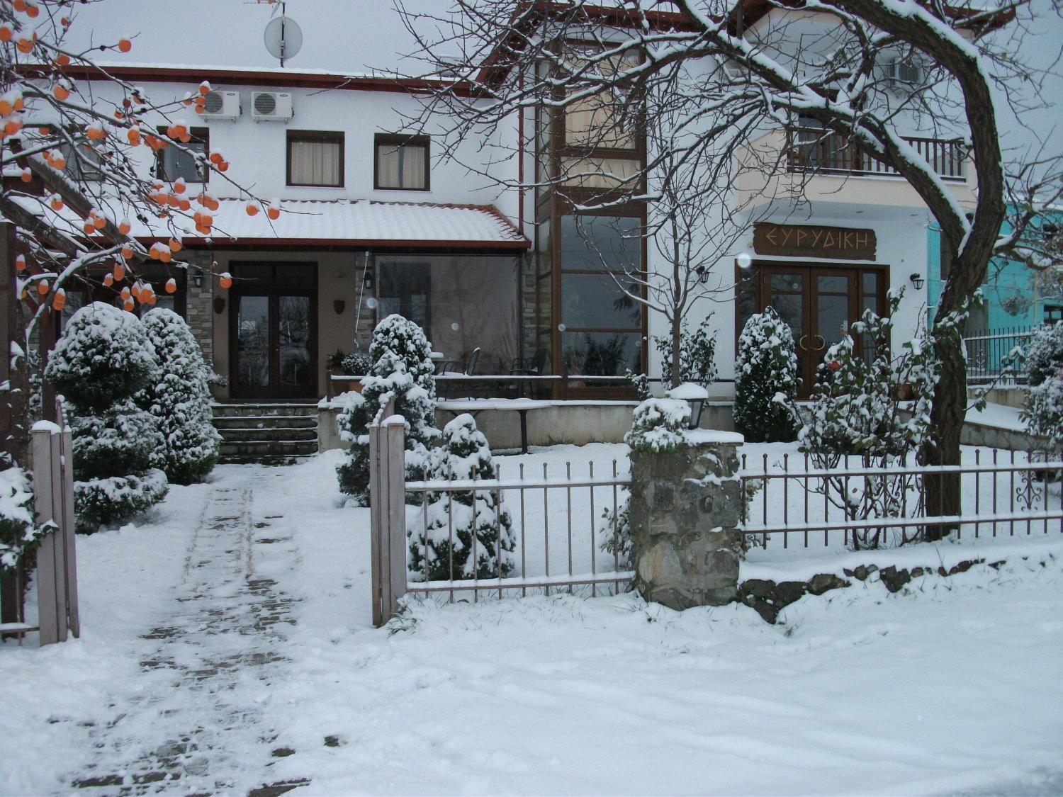 Evridiki Hotel Vergina Luaran gambar